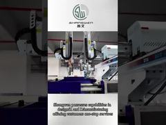 الطول كابلات الطاقة المخصصة البلاستيك معزولة 250 فولت مع موصل النحاس