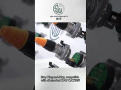 وصلة الهيكل الايثرنت